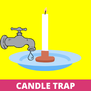 How to Get Rid of the Gnats - Candle Trap