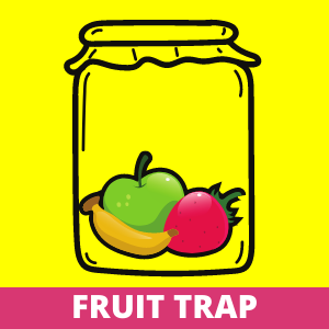 How to Get Rid of the Gnats - Fruit Trap