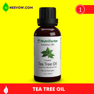 Tea Tree Oil to Get Rid of Bed Bugs