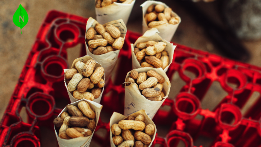 10 Peanuts Health Benefits