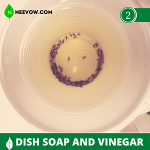 Use Dish Soap and Vinegar
